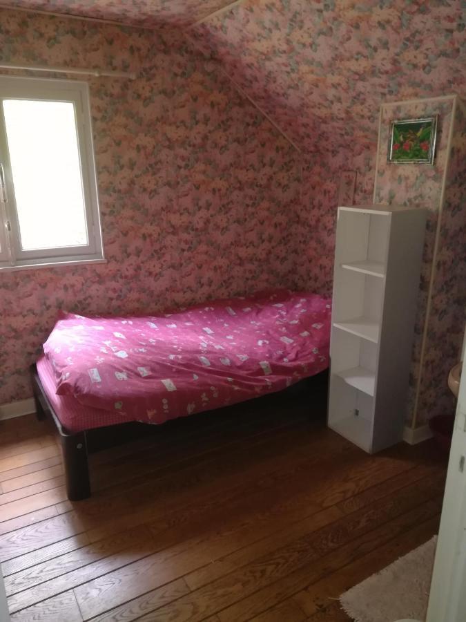 Propriete Bordee D'Etangs, Propice A La Detente Florenville Exterior foto
